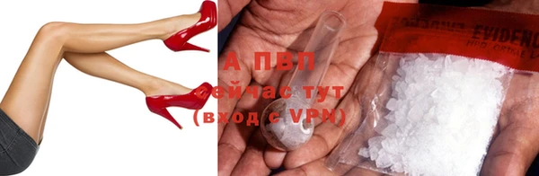 хмурый Осинники