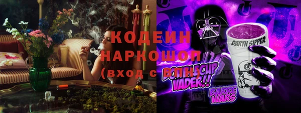 хмурый Осинники
