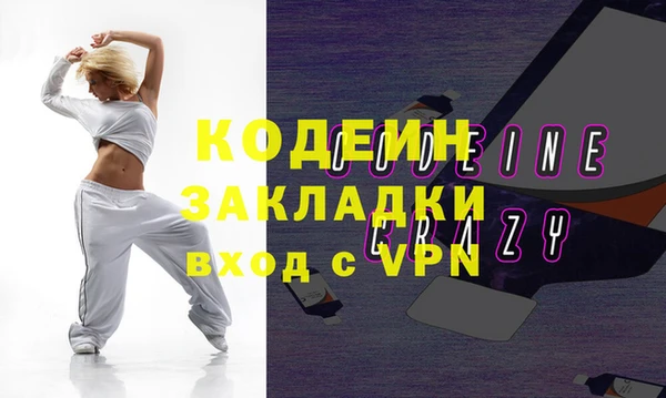 хмурый Осинники